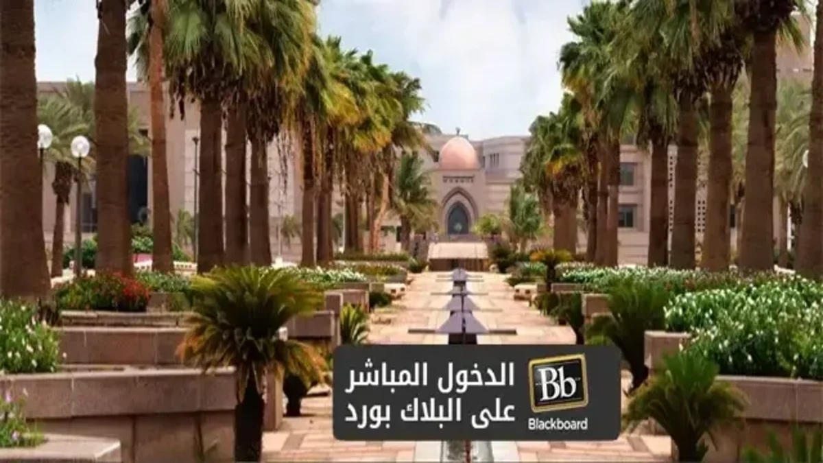 بلاك بورد جامعة الملك عبد العزيز رابط التسجيل والدخول إلى النظام