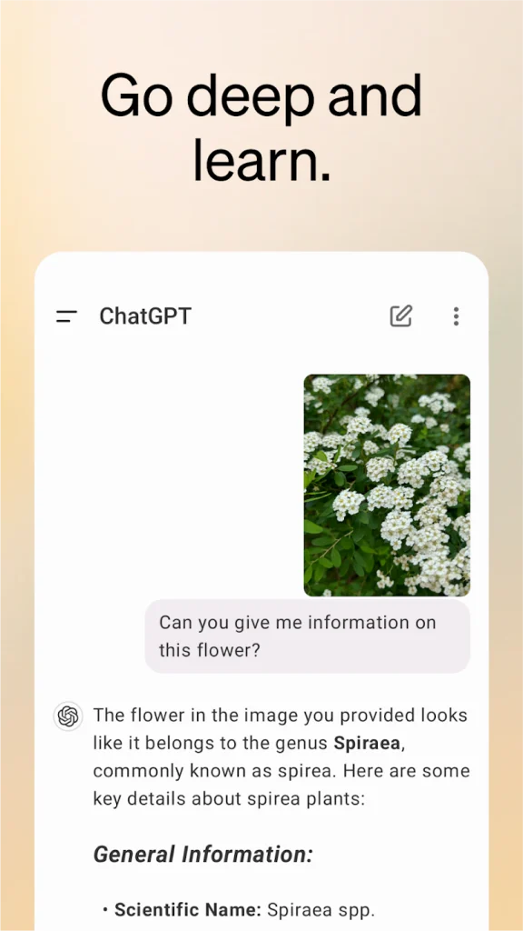 تحميل تطبيق ChatGPT الأصلي للأندرويد 2 طريقة استخدام تطبيق ChatGPT