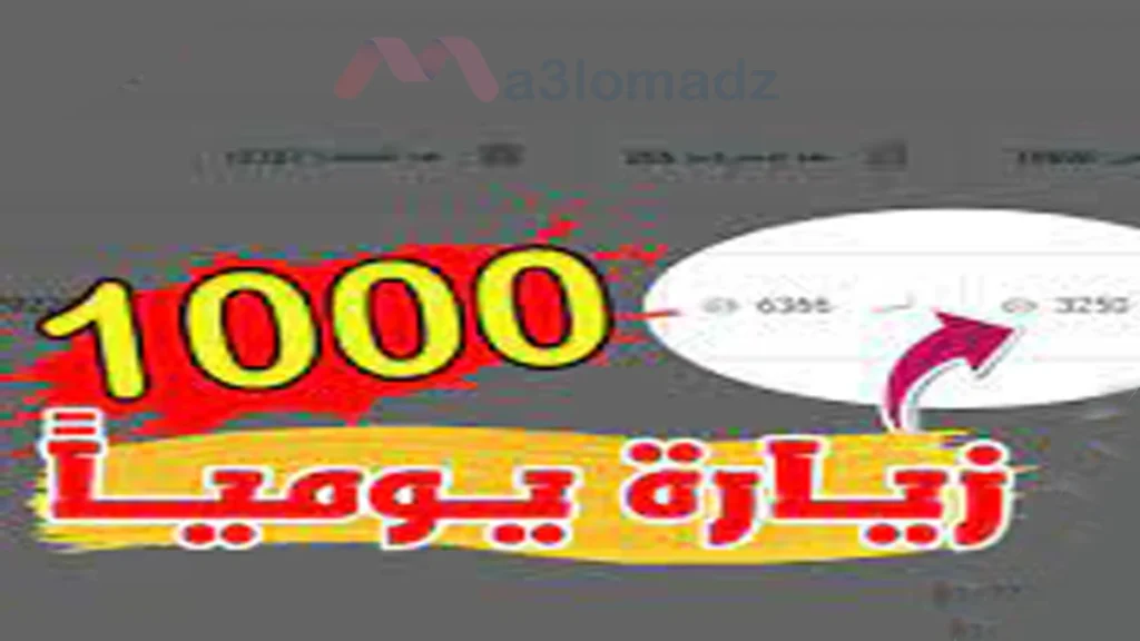 كيف أجلب 1000 زيارة يوميا لمدونتي 1 كيف أجلب 1000 زيارة يوميا لمدونتي